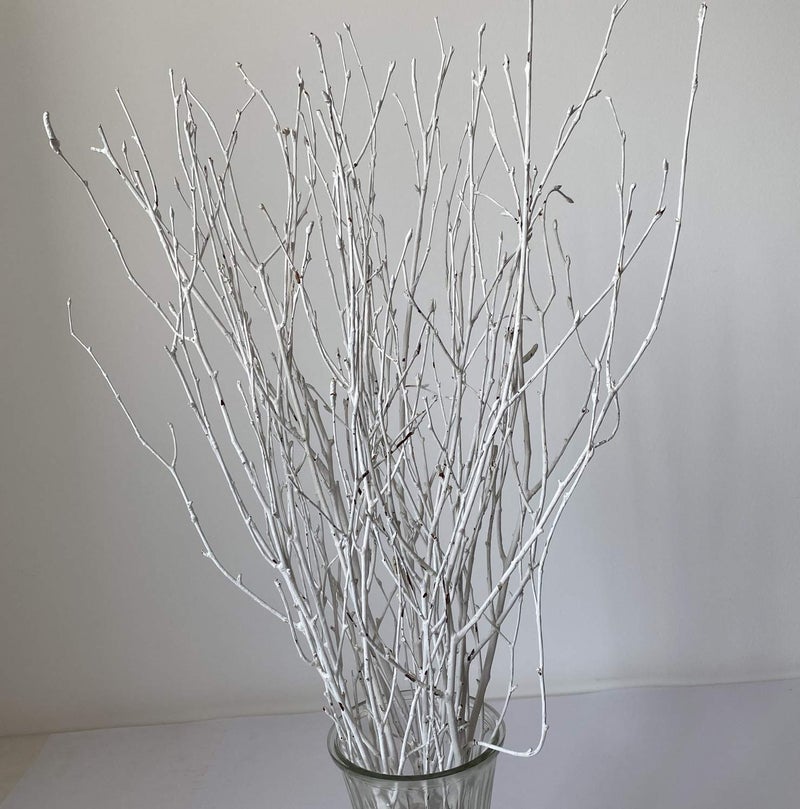 DongArts Decorative Birch Branches Decoration, 23 Inch Birch Stems for Wedding Decor,Dried Twigs for Christmas Decor (White) - Image 2